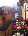 Orchidea - one bedroom apartment in Orta San Giulio, with view of Lake Orta