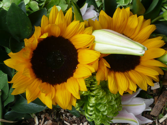 Barbara, Ray, Tom, Su, George